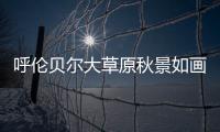 呼伦贝尔大草原秋景如画